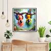 QQYRHN 5D Funny Bird Diamond Painting Kit view 3
