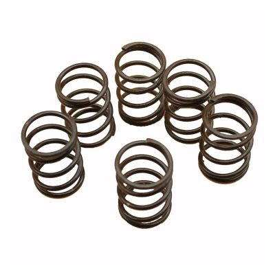 6-Piece Intake/Exhaust Valve Spring Set for GX35, GX35NT and GX50 Engines