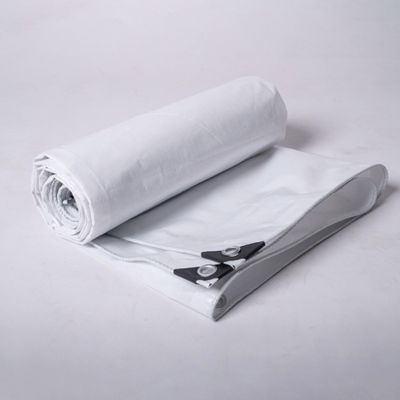 Yurstcggh PE Protective Tarp, Waterproof Fabric Cover, Tear-Resistant Weatherproof Tarp, Double-Sided UV-Coated, White, 2.9 m, 550 g