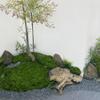Green Artificial Moss view 4