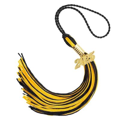 GMBYLBY Graduation Tassels 2025 Hat Charms