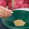 Prospector Gold Pan view 2