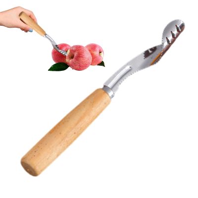 Stainless Steel Fruit Corer with Wooden Handle