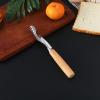 Stainless Steel Fruit Corer with Wooden Handle view 3