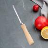 Stainless Steel Corer Tool view 3