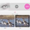 20x50 Binoculars, Portable Wide-Angle FMC IPX8 Waterproof Binoculars with Vibration Protection for Birdwatching and Hunting view 2