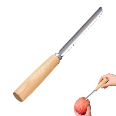 Fruit Corer, Stainless Steel with Non-Slip Wooden Handle