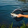 Foldable Fishing Net view 2