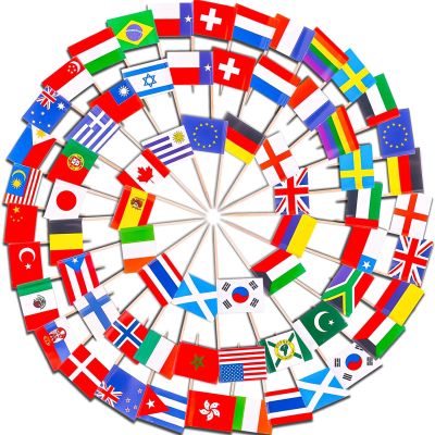 100 Pcs International Toothpick Cocktail Flags