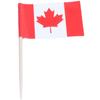 KEALLANS 50-Pack Mini Toothpicks with Flag - Canada view 1