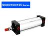 AYJYZHIAG SC Standard Air Cylinder, Double-Acting, 80/100/125 mm Bore, 25–1000 mm Stroke view 3
