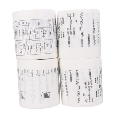 GALPADA 4-Roll Toilet Paper Printed with Chemical and Physics Formulas