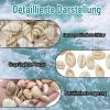 120 Natural Shells for Crafting view 3