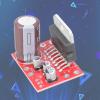 WATERBELINE TD7379/CD7379 38W x 2 Audio Amplifier Board view 2