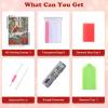 HEIBAGO Christmas 5D Diamond Painting, Cardinal Full Drill Set view 3