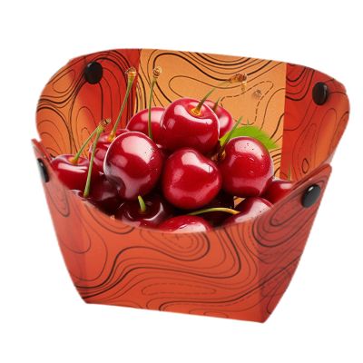 Foldable Camping Bowl and Plate