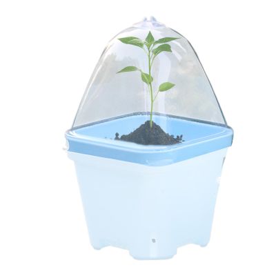 Plant Covers, 10 Transparent Mini Greenhouse Domes with Ventilation