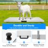Digital Animal Scale 660 lb, Two Weighing Modes, Three Units, Stainless Steel, Large Heavy-Duty Scale with LCD Display for Domestic and Farm Animals view 4