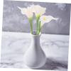 ULTECHNOVO 5-Pack Mini Calla Flowers view 4
