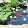 Floating Flowers - 5 Artificial Water Lilies view 3
