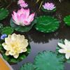Floating Flowers - 5 Artificial Water Lilies view 4