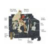 Jectse 50 A 2-Pole Molded-Case Circuit Breaker, 10 kA, 240 V, CHF Series view 4