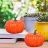Yugugomo Decorative Pumpkins view 2