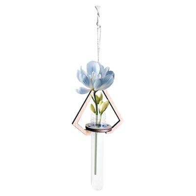 Wall Plant Holder with Test Tubes, 20 x 10 cm