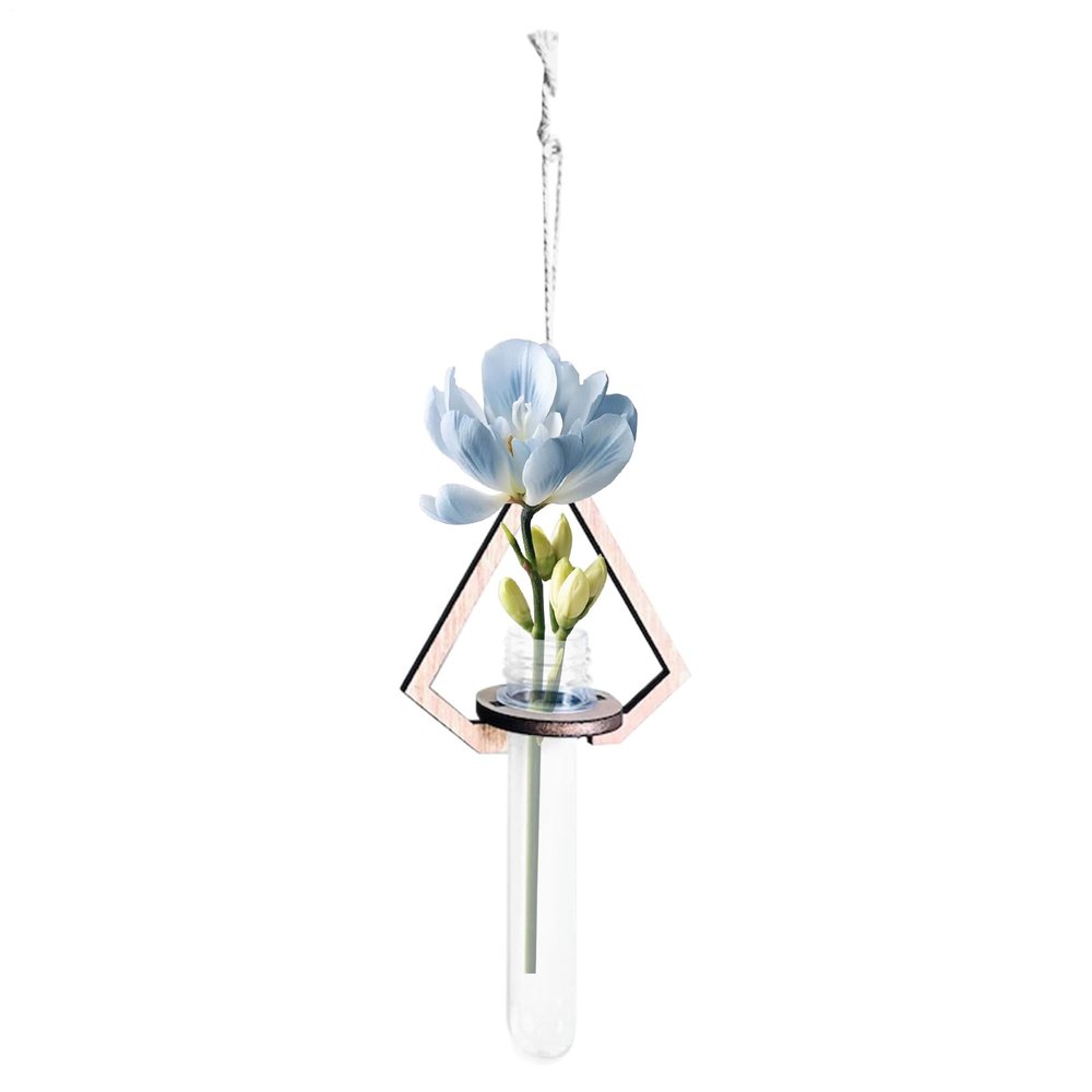 Wall Plant Holder with Test Tubes, 20 x 10 cm