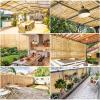 Bamboo Outdoor Roller Shade view 4