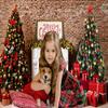 GCIREC 12 x 10 ft Christmas Winter Fireplace Backdrop view 2