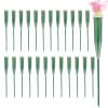 Yanayi Floral Tubes | 25 Pack Single Flower Stem Tubes for Fresh Flowers view 1