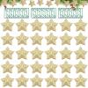 Scettar 30-Piece Gold Star Christmas Ornament Set view 1