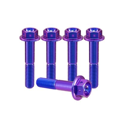 RISON-Titanium 5-Piece Titanium Flange Bolts M6 x 1.0 x 25 mm, Hex Socket, Drilled, for Brake Calipers, Motorcycles & Cars