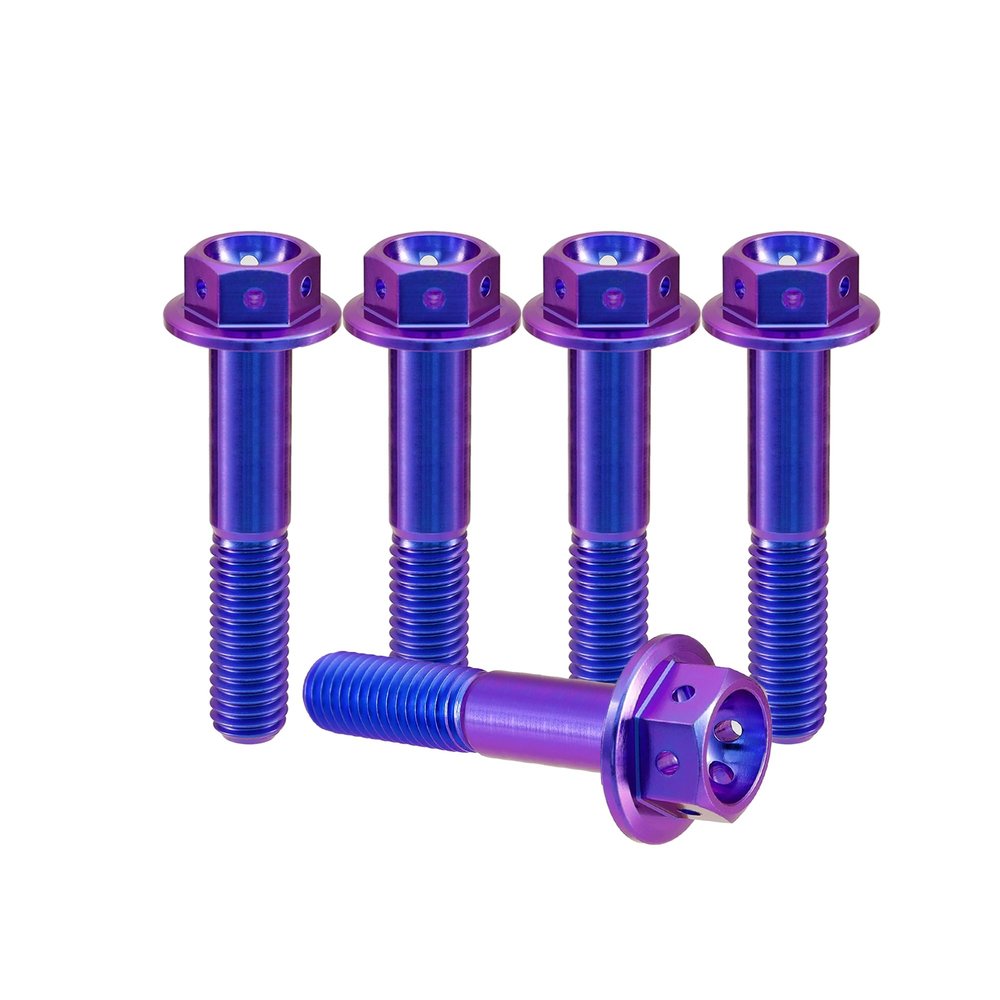 RISON-Titanium 5-Piece Titanium Flange Bolts M6 x 1.0 x 25 mm, Hex Socket, Drilled, for Brake Calipers, Motorcycles & Cars
