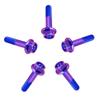 RISON-Titanium 5-Piece Titanium Flange Bolts M6 x 1.0 x 25 mm, Hex Socket, Drilled, for Brake Calipers, Motorcycles & Cars view 4