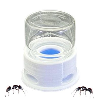Ant Drinking Water Station with Anti-Drowning Protection, Leakproof and Transparent