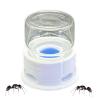 Ant Drinking Water Station with Anti-Drowning Protection, Leakproof and Transparent view 1