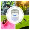 Ant Drinking Water Station with Anti-Drowning Protection, Leakproof and Transparent view 4
