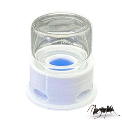 Ant Feeder and Cricket Water Station, Transparent Drinking Feeder, Lightweight, Sturdy, Anti-Drowning, 1.42 x 1.5 Inches