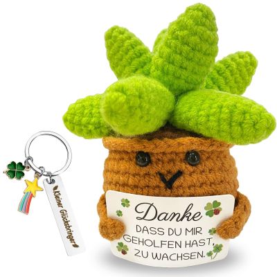 Joycabin Thank You Gifts - Knitted Succulent Keychain