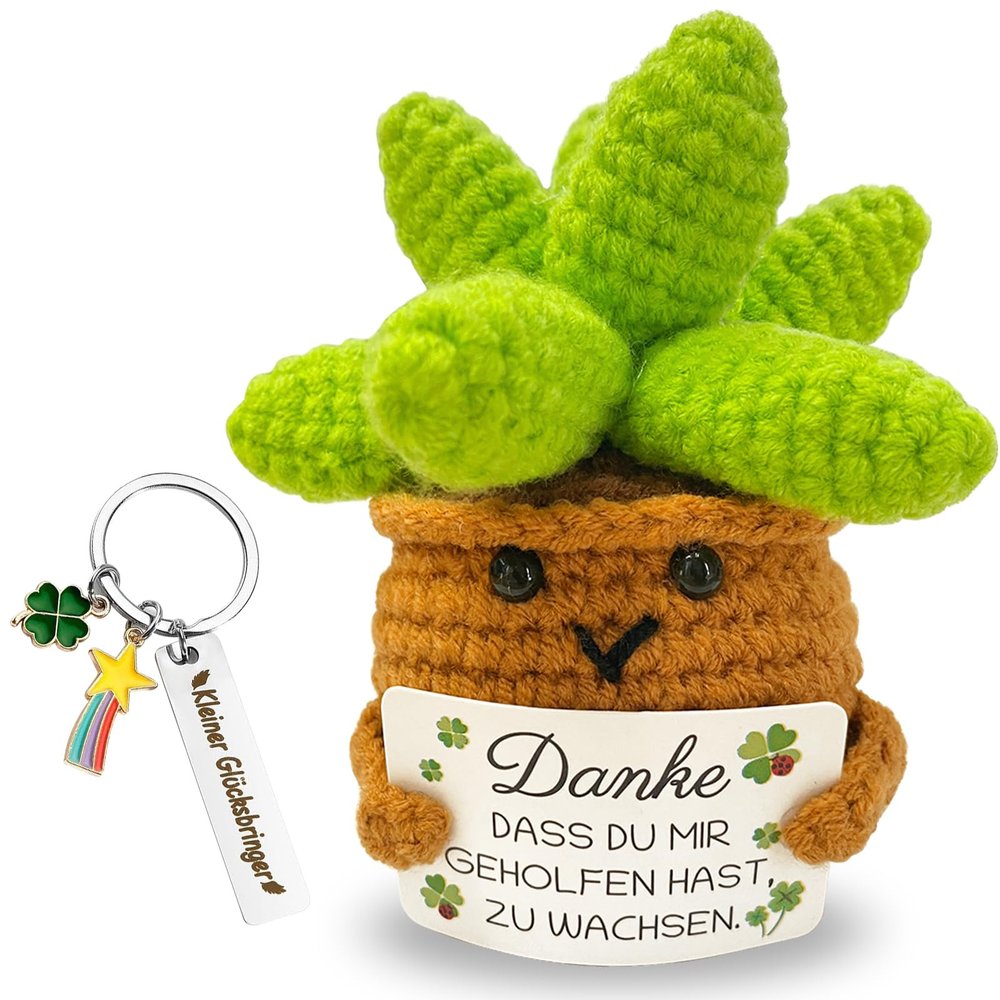 Joycabin Thank You Gifts - Knitted Succulent Keychain