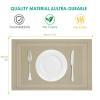 Heat-Resistant Placemats, 30.5 x 45.7 cm, Non-Slip, Washable, PVC Table Mat view 2