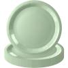 MOMAHUA 16-Piece Sage Green Paper Plate Set view 1