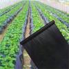 EURDFHY Agricultural Black Greenhouse Film, 0.8 m x 40 m view 2