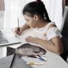 Realistic Fish Pencil Case view 3