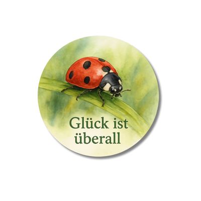 Round Refrigerator Magnet 59mm - Ladybug Design