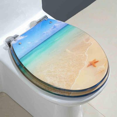 Soft-Close Transparent Resin Toilet Seat, 34 × 42 cm (A Style)