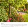 Edition Seidel Premium Calendar Dreamy Country Gardens 2026, DIN A3 Wall Calendar view 4