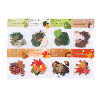 ZXMNBH 30 Pack Old Ginkgo Tree Paper for Scrapbooking